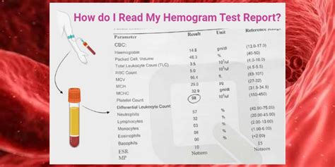 Interpreting Your Leukemia Blood Test Results .